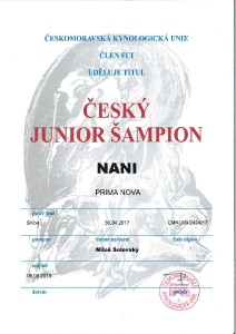 c_users_jana-halbrstatova_desktop_nani-prima-nova---diplom-cesky-junior-sampion.jpg